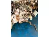 RANGER 2.0 ADDBLUE'LU KOMPLE MOTOR 2018-2022